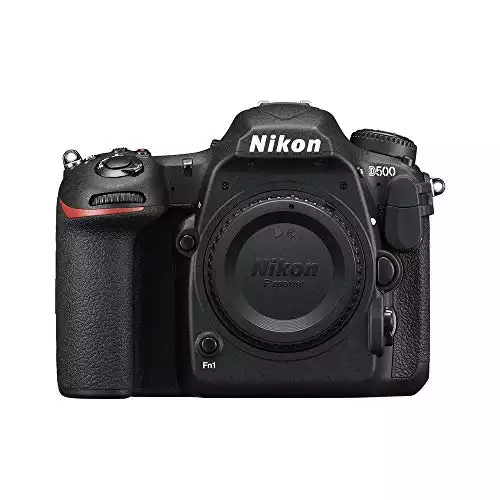 Nikon D500 | Amazon