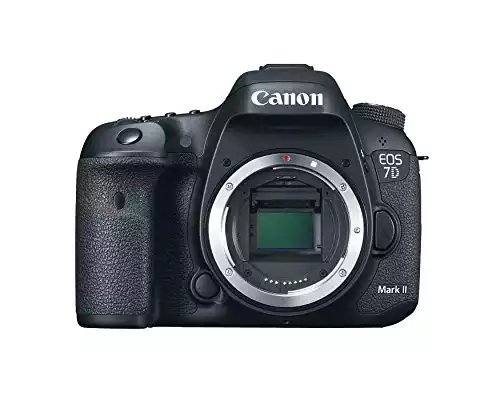 Canon 7D Mark II Advantages | Amazon